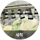 세척