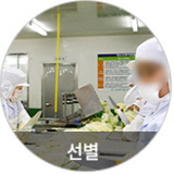 선별